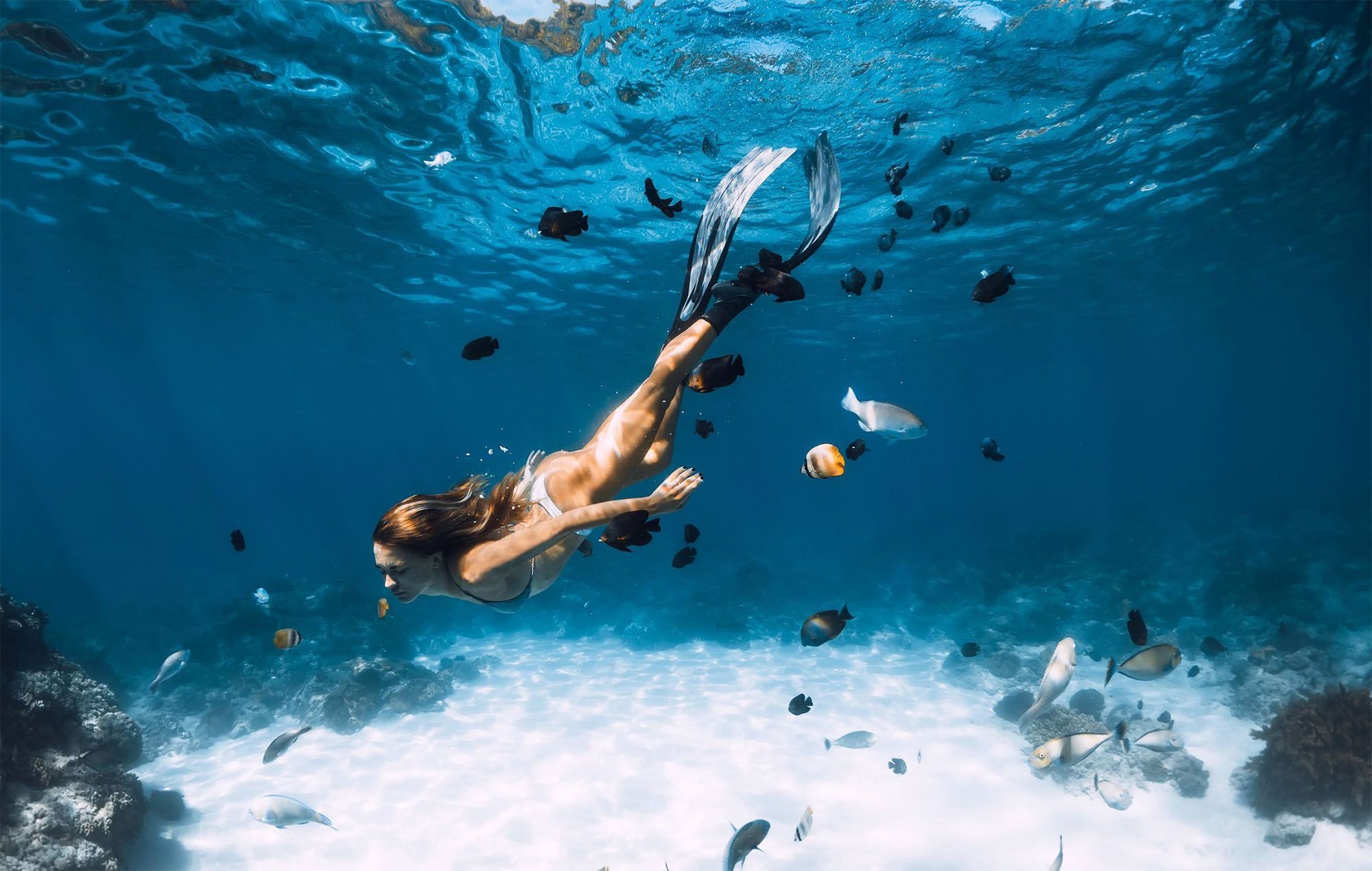 Коралловые рифы и сноркелинг возле Шоал Бэй Ист